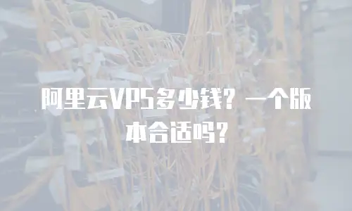 阿里云VPS多少钱？一个版本合适吗？