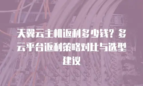 天翼云主机返利多少钱？多云平台返利策略对比与选型建议
