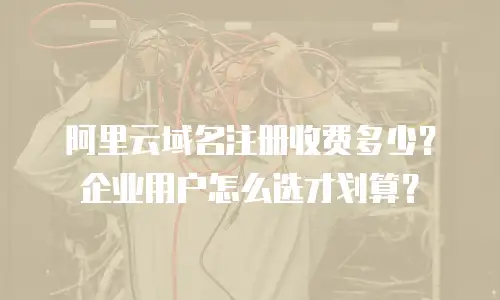 阿里云域名注册收费多少？企业用户怎么选才划算？