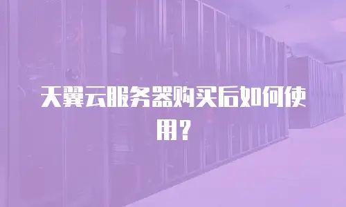 天翼云服务器购买后如何使用？