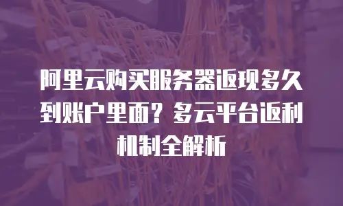 阿里云购买服务器返现多久到账户里面？多云平台返利机制全解析