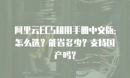 阿里云ECS租用手册中文版：怎么选？能省多少？支持国产吗？