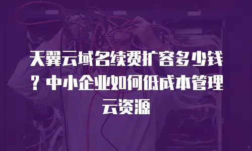 天翼云域名续费扩容多少钱？中小企业如何低成本管理云资源