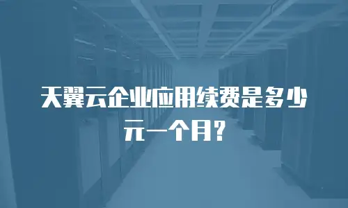 天翼云企业应用续费是多少元一个月？