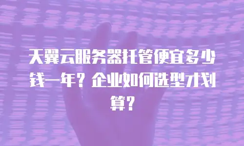天翼云服务器托管便宜多少钱一年？企业如何选型才划算？