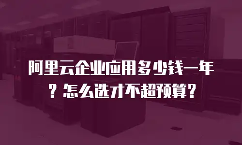 阿里云企业应用多少钱一年？怎么选才不超预算？
