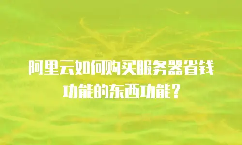 阿里云如何购买服务器省钱功能的东西功能？