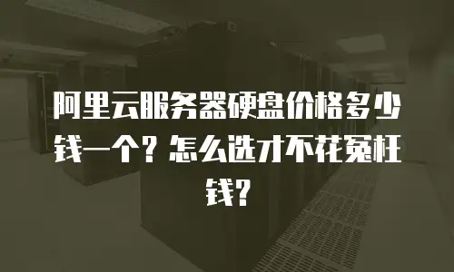 阿里云服务器硬盘价格多少钱一个？怎么选才不花冤枉钱？