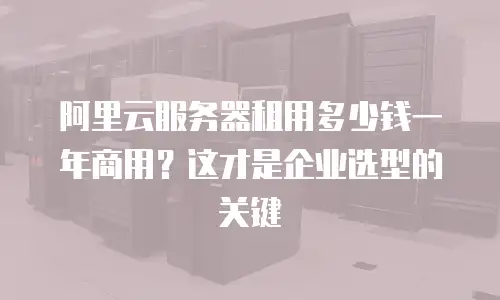 阿里云服务器租用多少钱一年商用？这才是企业选型的关键