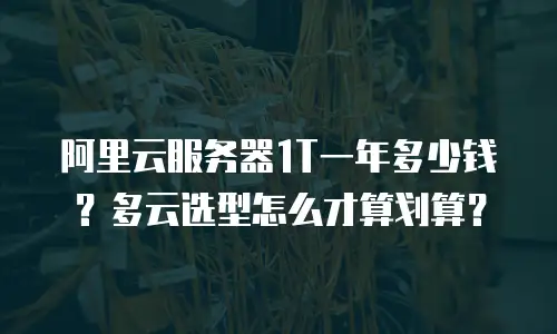 阿里云服务器1T一年多少钱？多云选型怎么才算划算？