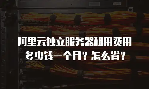 阿里云独立服务器租用费用多少钱一个月？怎么省？