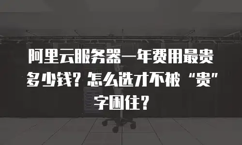 阿里云服务器一年费用最贵多少钱？怎么选才不被&ldquo;贵&rdquo;字困住？