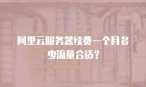 阿里云服务器续费一个月多少流量合适？