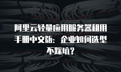 阿里云轻量应用服务器租用手册中文版：企业如何选型不踩坑？