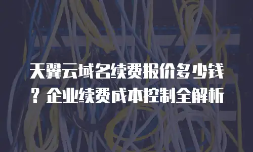 天翼云域名续费报价多少钱？企业续费成本控制全解析