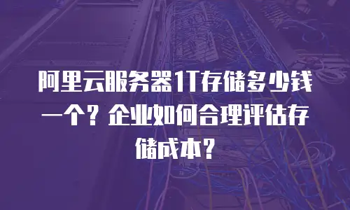 阿里云服务器1T存储多少钱一个？企业如何合理评估存储成本？