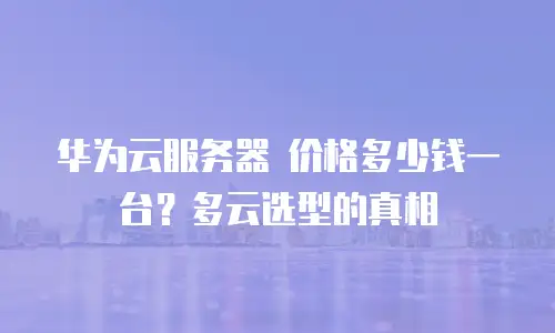 华为云服务器 价格多少钱一台？多云选型的真相