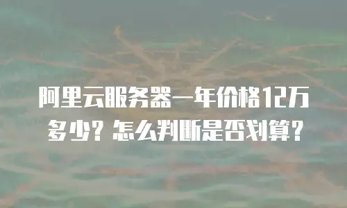 阿里云服务器一年价格12万多少？怎么判断是否划算？