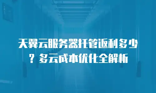 天翼云服务器托管返利多少？多云成本优化全解析