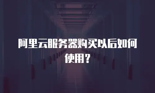 阿里云服务器购买以后如何使用？