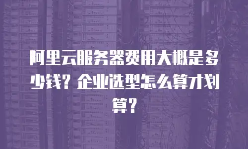 阿里云服务器费用大概是多少钱？企业选型怎么算才划算？
