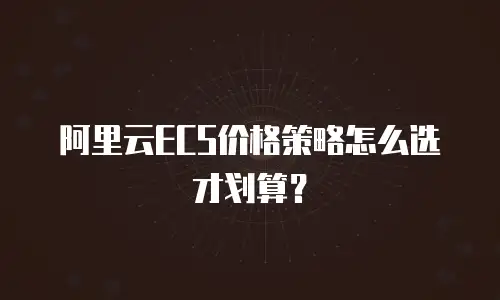 阿里云ECS价格策略怎么选才划算？