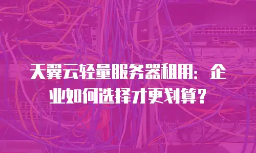 天翼云轻量服务器租用：企业如何选择才更划算？
