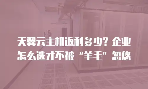 天翼云主机返利多少？企业怎么选才不被“羊毛”忽悠