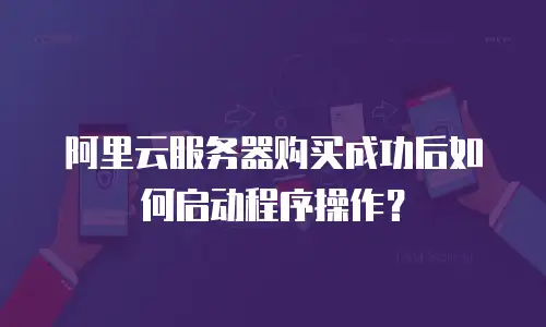 阿里云服务器购买成功后如何启动程序操作？