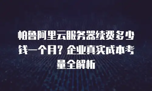 帕鲁阿里云服务器续费多少钱一个月？企业真实成本考量全解析