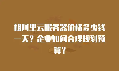 租阿里云服务器价格多少钱一天？企业如何合理规划预算？