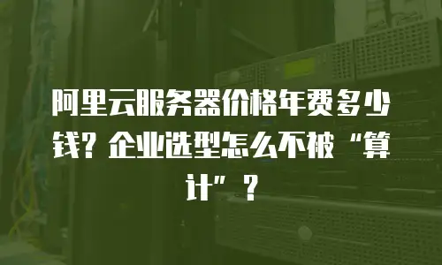 阿里云服务器价格年费多少钱？企业选型怎么不被&ldquo;算计&rdquo;？