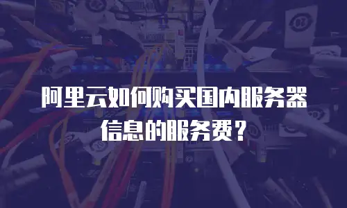 阿里云如何购买国内服务器信息的服务费？