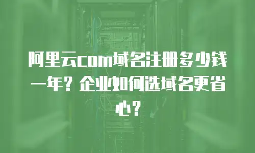 阿里云com域名注册多少钱一年？企业如何选域名更省心？