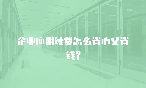 企业应用续费怎么省心又省钱？