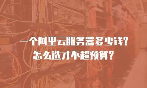 一个阿里云服务器多少钱？怎么选才不超预算？