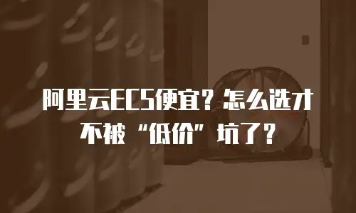 阿里云ECS便宜？怎么选才不被“低价”坑了？