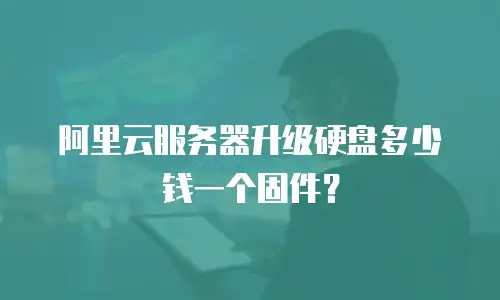 阿里云服务器升级硬盘多少钱一个固件？
