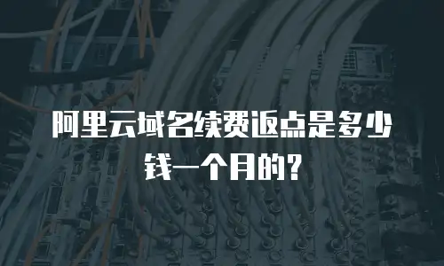 阿里云域名续费返点是多少钱一个月的？