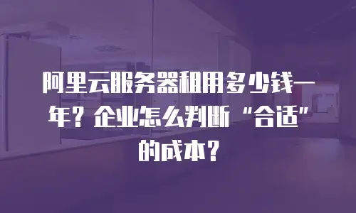 阿里云服务器租用多少钱一年？企业怎么判断&ldquo;合适&rdquo;的成本？