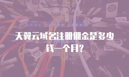 天翼云域名注册佣金是多少钱一个月？