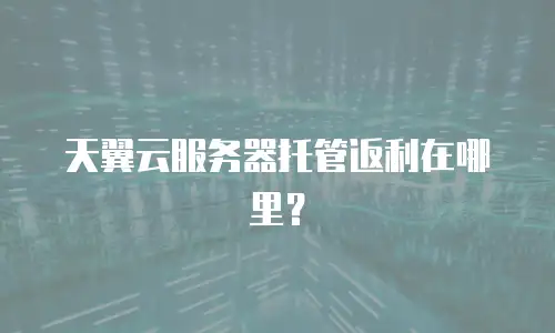 天翼云服务器托管返利在哪里？