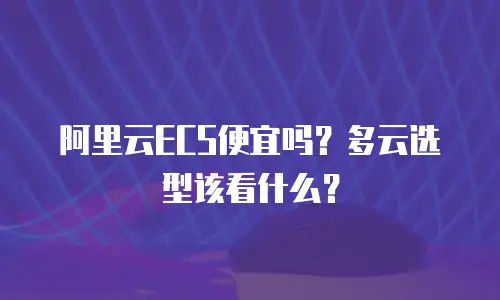 阿里云ECS便宜吗？多云选型该看什么？