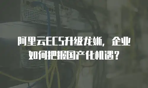 阿里云ECS升级龙蜥，企业如何把握国产化机遇？