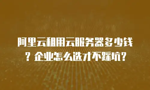 阿里云租用云服务器多少钱？企业怎么选才不踩坑？