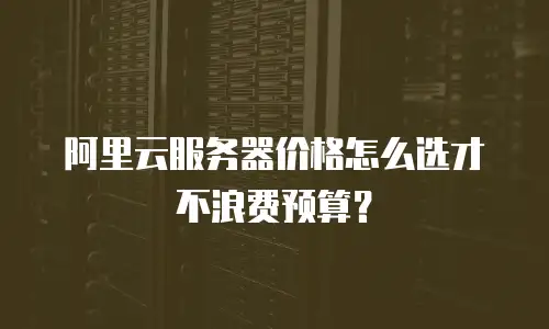 阿里云服务器价格怎么选才不浪费预算？