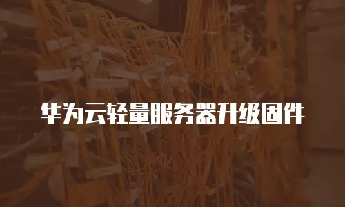 华为云轻量服务器升级固件