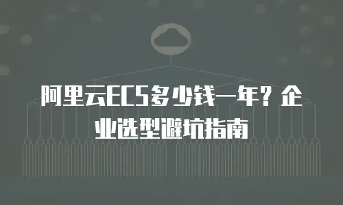 阿里云ECS多少钱一年？企业选型避坑指南
