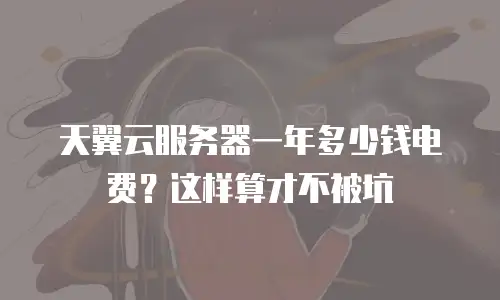 天翼云服务器一年多少钱电费？这样算才不被坑