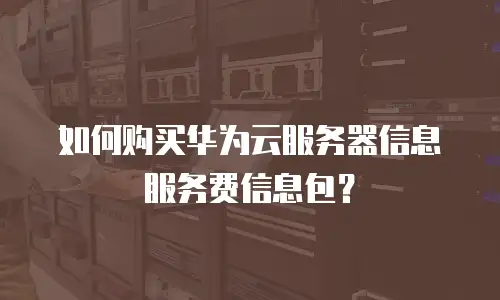 如何购买华为云服务器信息服务费信息包？